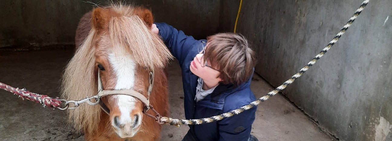 Coaching met pony Gina op Zorgboerderij De Hoeve